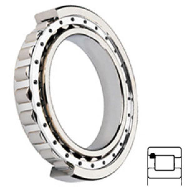 NTN MU1309UV services Cylindrical Roller Bearings #1 image