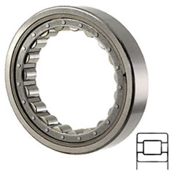 NTN M1207EL services Cylindrical Roller Bearings #1 image