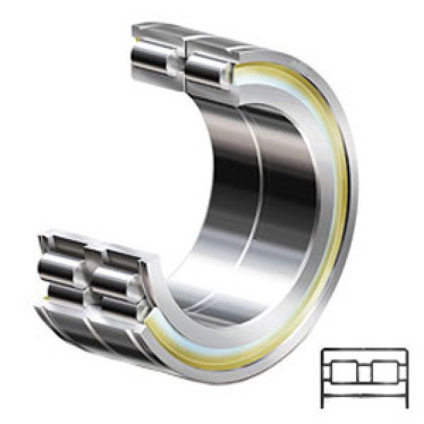 INA SL05022E services Cylindrical Roller Bearings #1 image