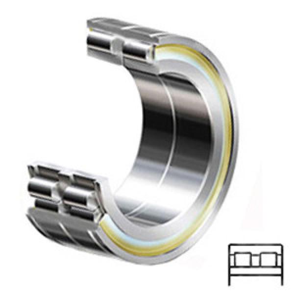 INA SL06020-E services Cylindrical Roller Bearings #1 image