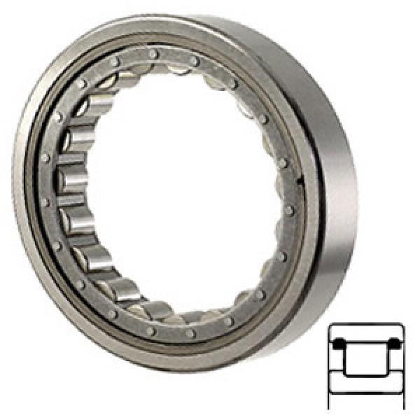NTN M1204TV services Cylindrical Roller Bearings #1 image