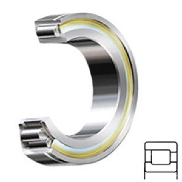 NTN MU1921DAHM services Cylindrical Roller Bearings #1 image