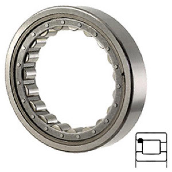 NTN M1309UV services Cylindrical Roller Bearings #1 image