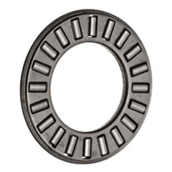 INA TC1018 services Thrust Roller Bearing #1 image