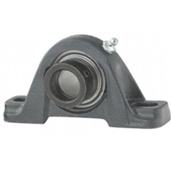 NTN AELP205-100F1D1 Pillow Block Bearings #1 image