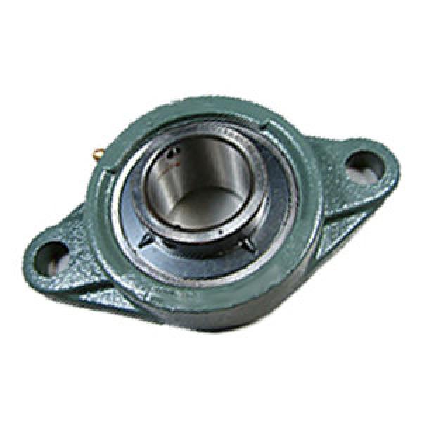 NTN UELFLG206D1-8Y-480 Flange Block Bearings #1 image