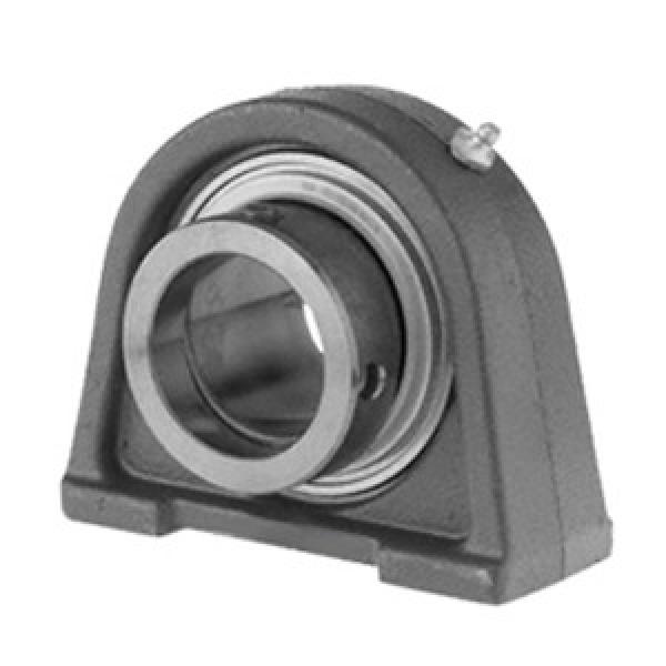 NTN UELUP205-100D1 Pillow Block Bearings #1 image