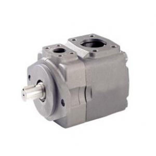 Rexroth Fixed Displacement Vane Pumps PVV Series #1 image