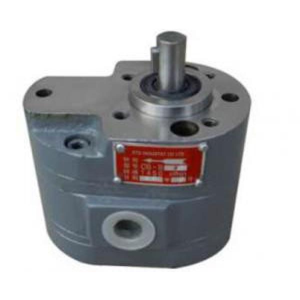 CB-B Dual Gear Pump CB-B2.5/2.5 #1 image