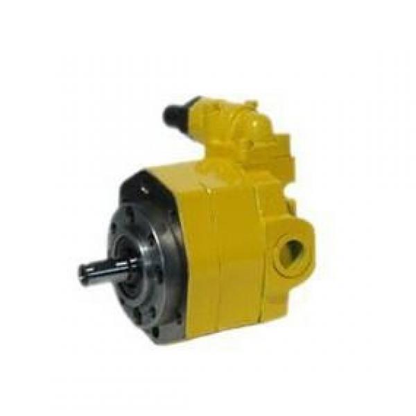 BB-B*Y Series Cycloid Gear Pump BB-B6Y #1 image