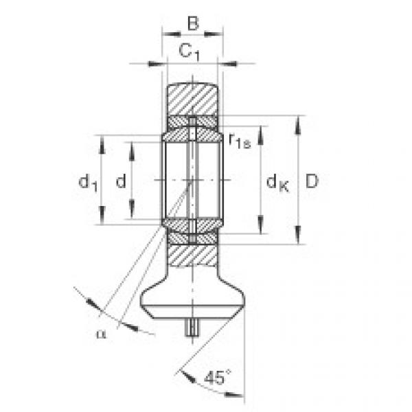 FAG Hydraulic rod ends - GK10-DO #1 image