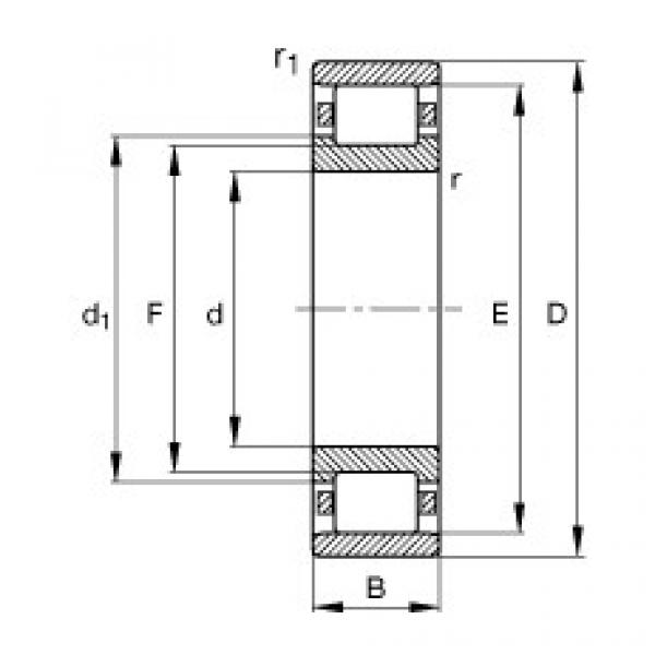 FAG Cylindrical roller bearings - N204-E-XL-TVP2 #1 image