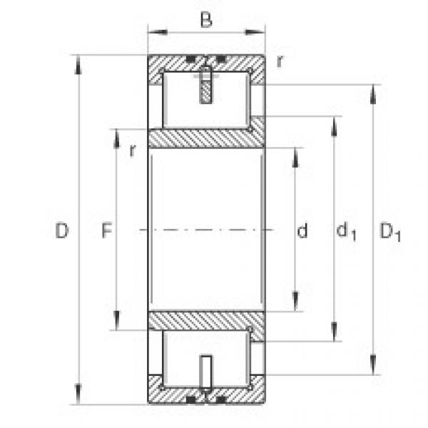 FAG Cylindrical roller bearings - LSL192317 #1 image