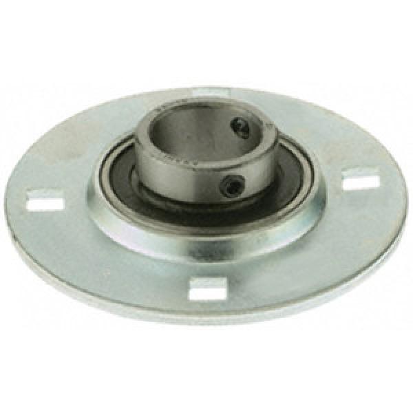 INA RA50 Flange Block Bearings #1 image