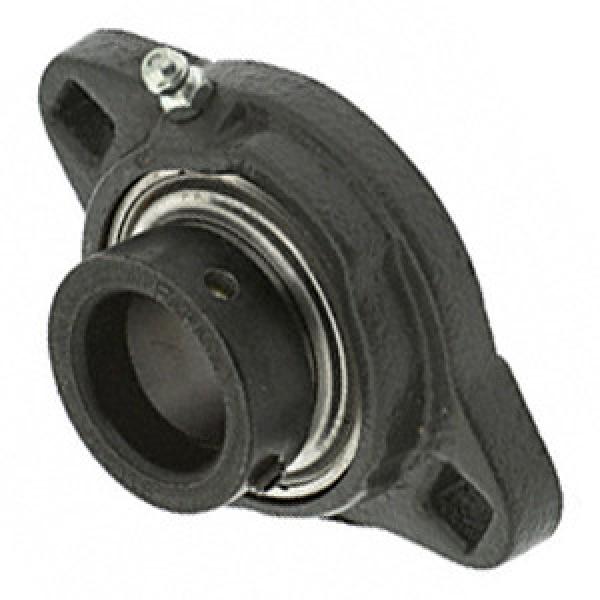  VFTD1 1/4 Flange Block Bearings #1 image