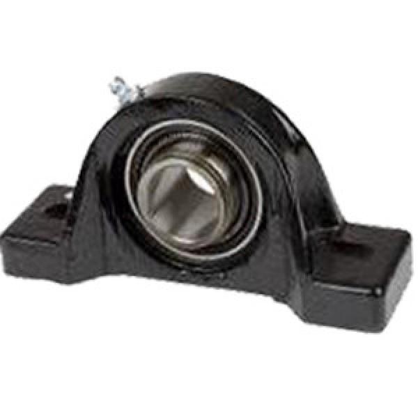  PNR1/2RS Pillow Block Bearings #1 image