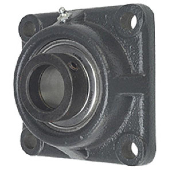 INA RCJO60 Flange Block Bearings #1 image