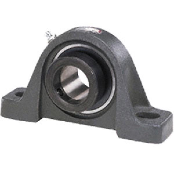 INA LASE20 Pillow Block Bearings #1 image