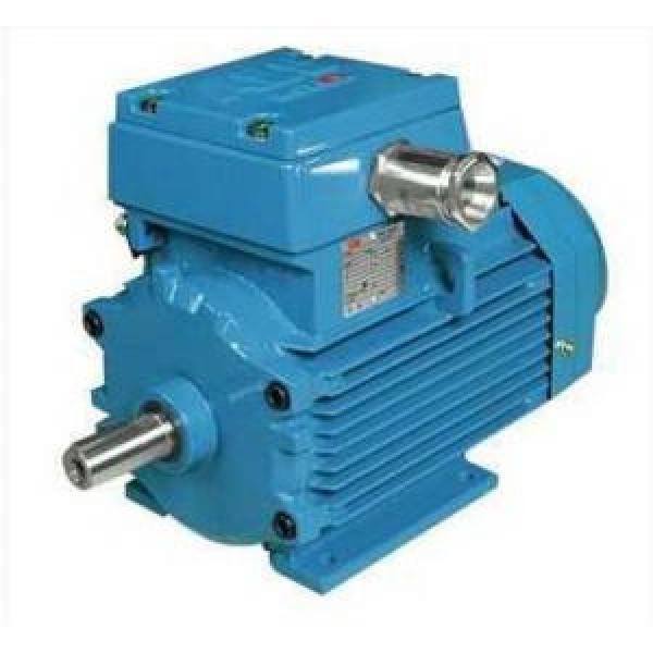 ABB M2JA200L2B Explosionproof/Flameproof Motors #1 image