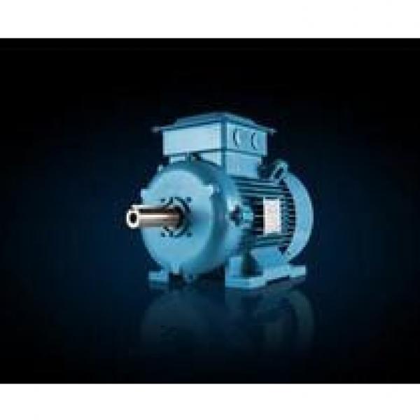 ABB M2BAX355SMA6 ExplosionProof Motors #1 image