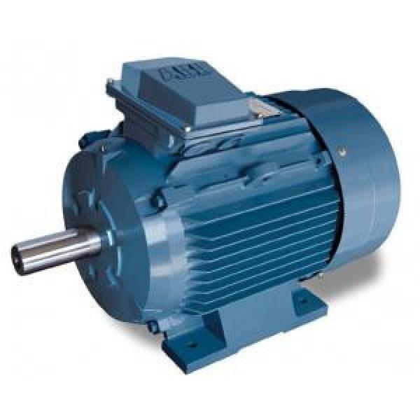 ABB M2QA100L10A Low-voltage Three-Phase Induction Motors #1 image