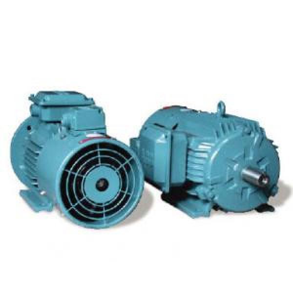 ABB QABP100L8A Induction Motor #1 image