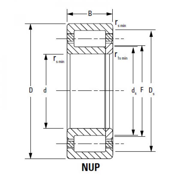 Bearing NU2224EMA #1 image