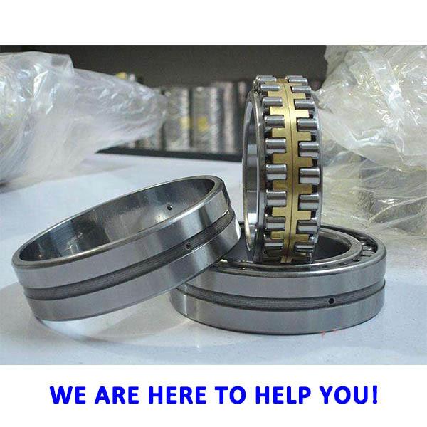 RBC Bearings TP756 Double row cylindrical roller bearings #1 image