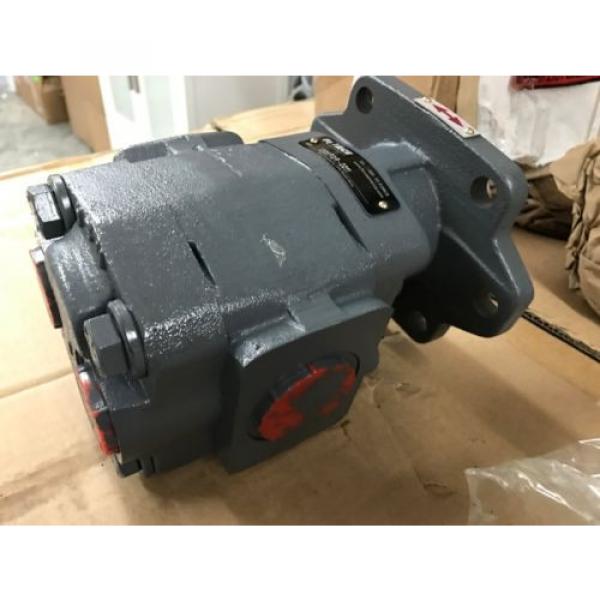 FORCE America 120SFOR-0011  Hydraulic Pump New #5 image