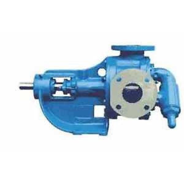 VICAN LIQUID PUMP L12400-2 #1 image