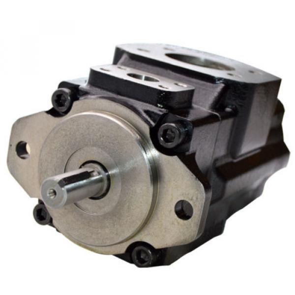 Double Hydraulic Vane Pump Replacement Denison T6CC-025-010-1R02-C100, 4.84 #1 image