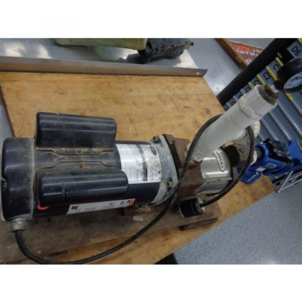 Berkeley Irrigation Water Pump B82456-01 Self-Priming Multi-Stage 55GPM 2HP 230V #1 image