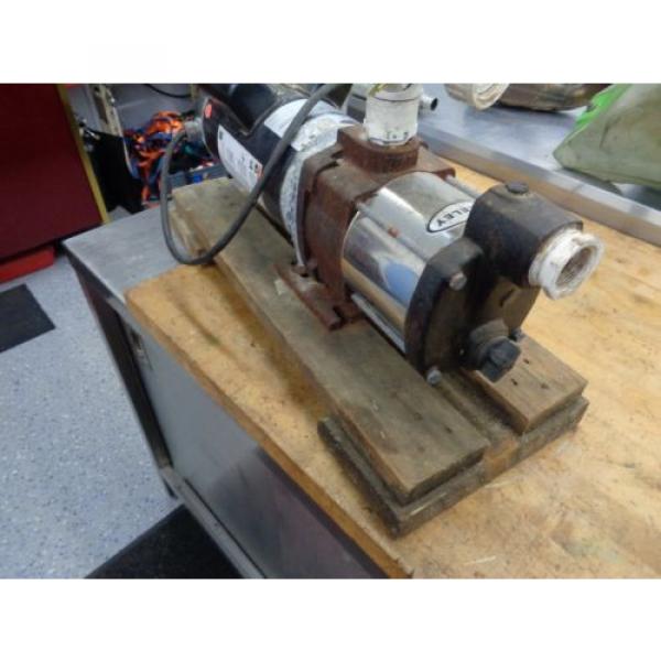 Berkeley Irrigation Water Pump B82456-01 Self-Priming Multi-Stage 55GPM 2HP 230V #3 image