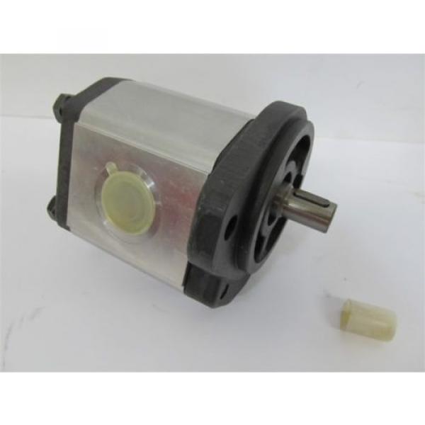 Young PowerTech Inc YBHP2A4D20C0U0-N, Hydraulic Pump #1 image